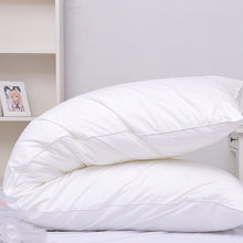 Load image into Gallery viewer, Double Equal Body Throw Pillow Insert

